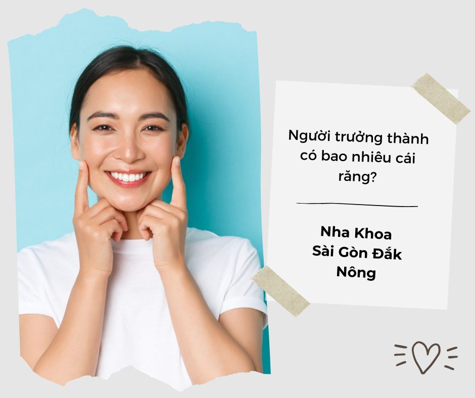 Người trưởng thành có bao nhiêu cái răng?
